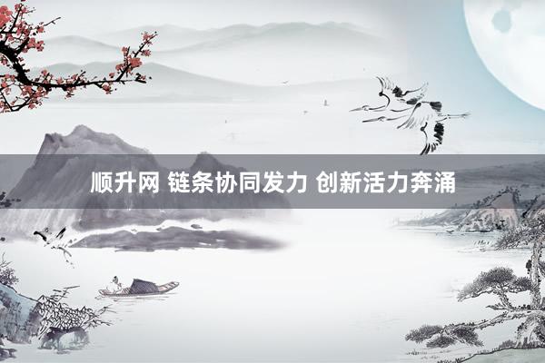 顺升网 链条协同发力 创新活力奔涌