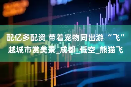 配亿多配资 带着宠物同出游 “飞”越城市赏美景_成都_低空_熊猫飞
